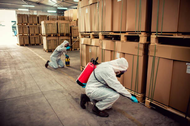 Best Pest Control for Homes  in Sea Bright, NJ