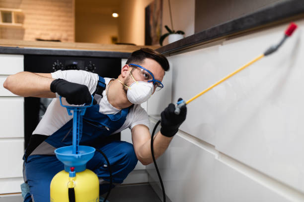 Best Pest Inspection Near Me  in Sea Bright, NJ