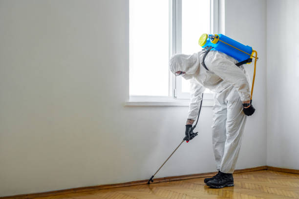 Best Mosquito Control Services  in Sea Bright, NJ