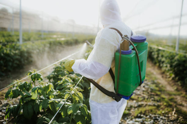 Best Best Pest Control Companies  in Sea Bright, NJ